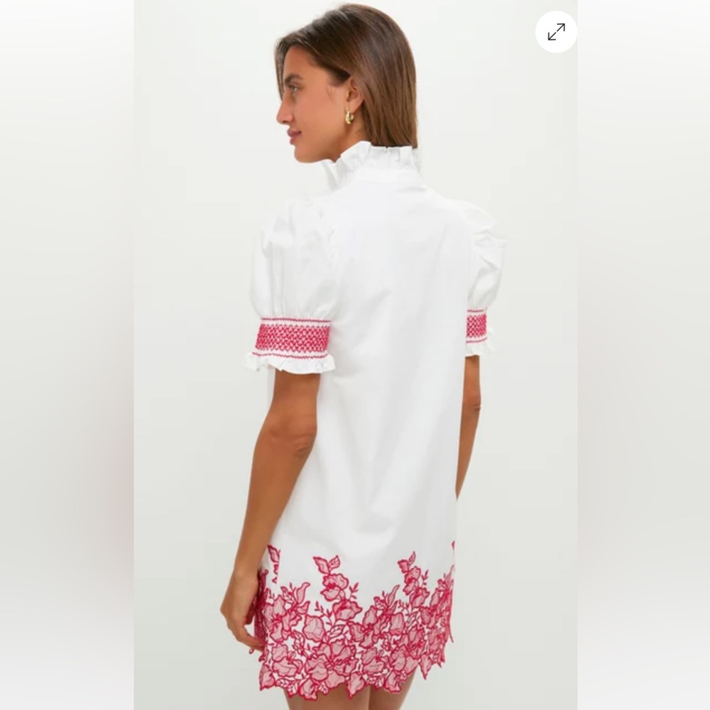White Mini Dress with Pink Embroidered Hem and Sleeve Accents - Picture 2 of 6